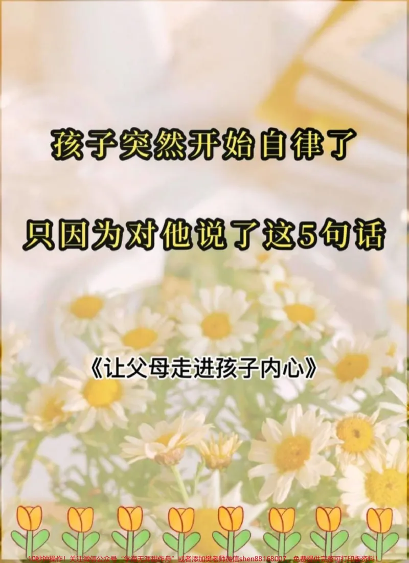 《#智慧人生#人生领悟道理#句句在理#思维格局#培养孩子好习惯_最新小学1-9年级各科+幼升小+综合类学习资源汇总包_价值20万元！最新小学1-9年级各科+幼升小+综合类学习资源汇总包》第1页预览