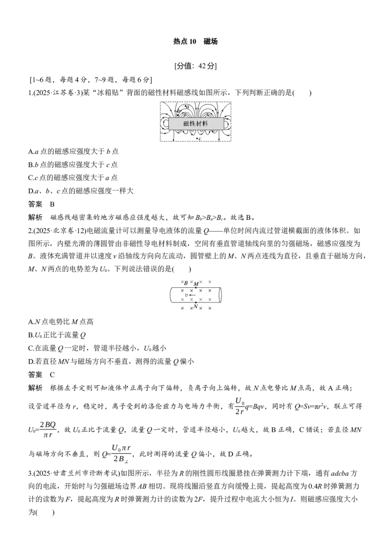 《热点10　磁场(1)_2026版高中《二三轮复习+冲刺复习》_2026版步步高大二轮物理（培优版）_教师用书Word版文档_考前特训_热点排查练》第1页预览
