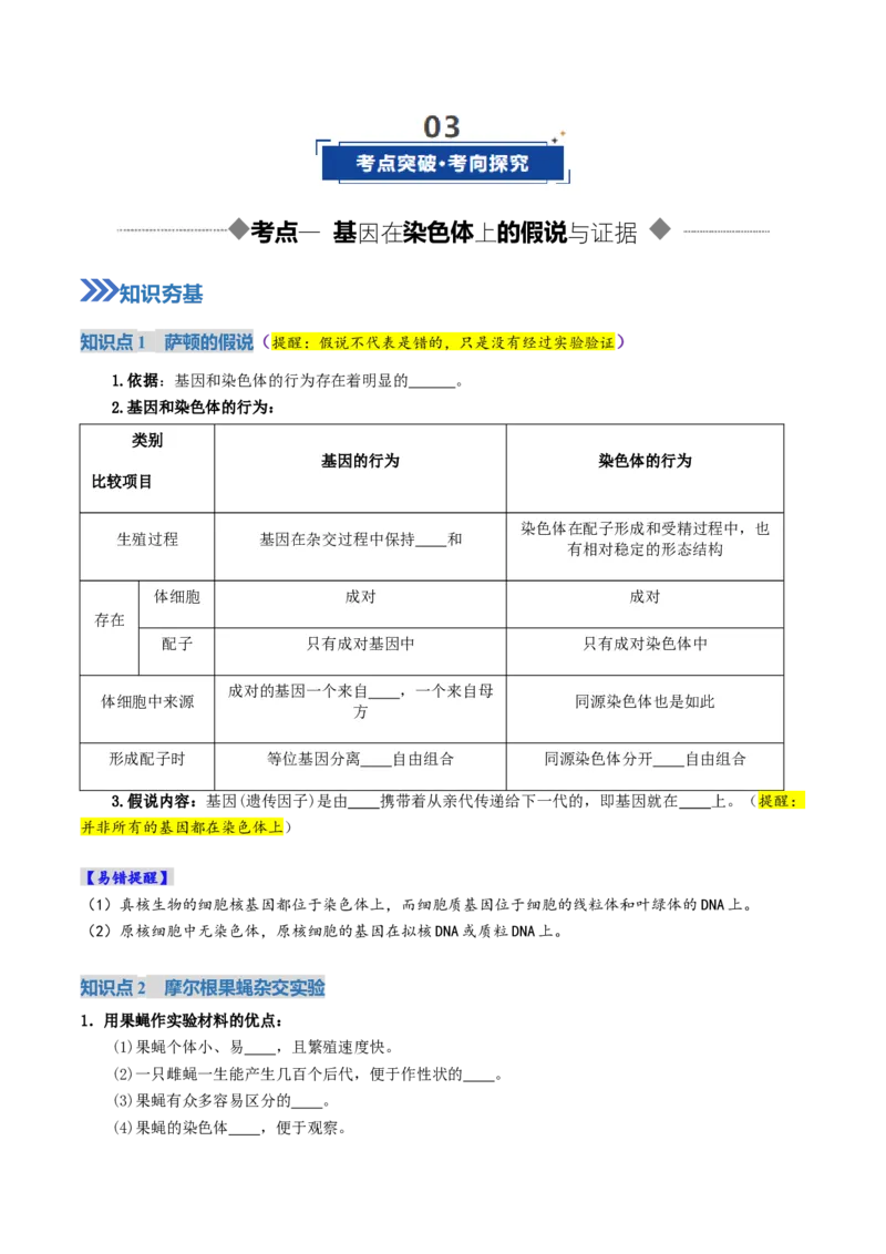 《第17讲伴性遗传和人类遗传病（复习讲义）（全国通用）（学生版）_高考一二三轮复习_生物_2026年高考生物一轮_2026年高考生物一轮复习讲义+练习+课件（新教材新高考）-G55_2026版》第4页预览
