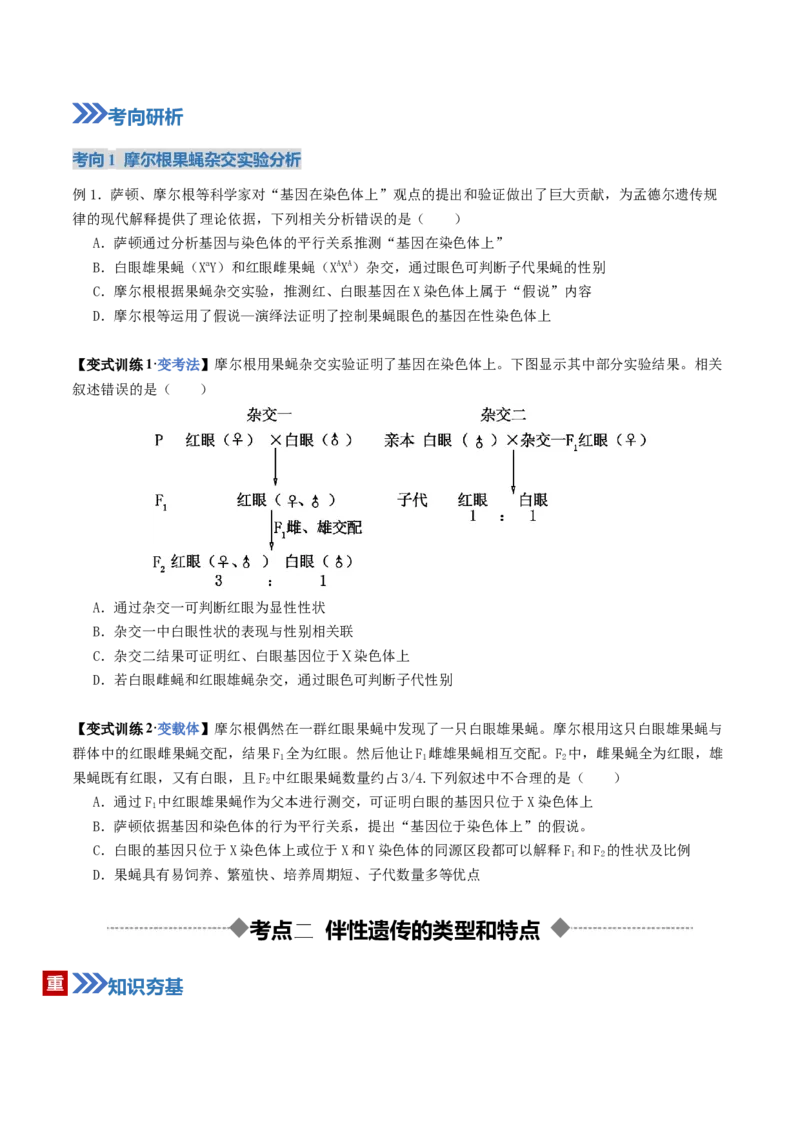 《第17讲伴性遗传和人类遗传病（复习讲义）（全国通用）（学生版）_高考一二三轮复习_生物_2026年高考生物一轮_2026年高考生物一轮复习讲义+练习+课件（新教材新高考）-G55_2026版》第7页预览