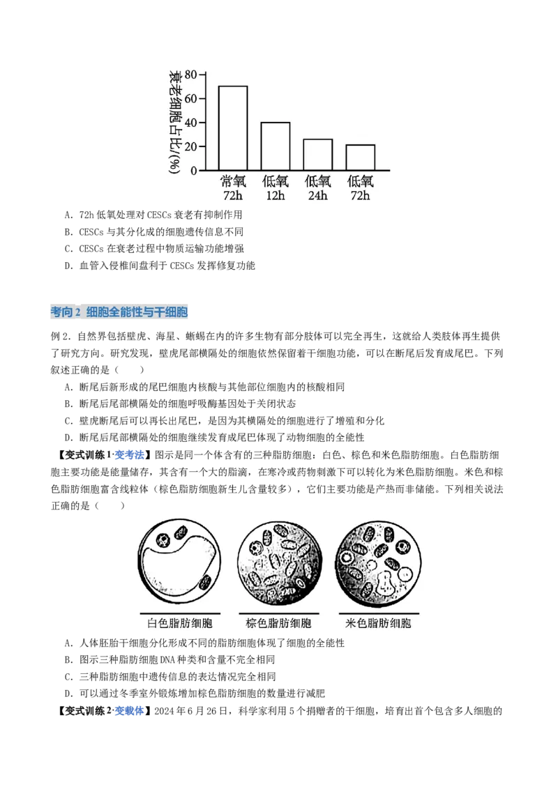 《第14讲细胞的分化、衰老和死亡（复习讲义）（全国通用）（学生版）_高考一二三轮复习_生物_2026年高考生物一轮_2026年高考生物一轮复习讲义+练习+课件（新教材新高考）-G55_2026版》第7页预览