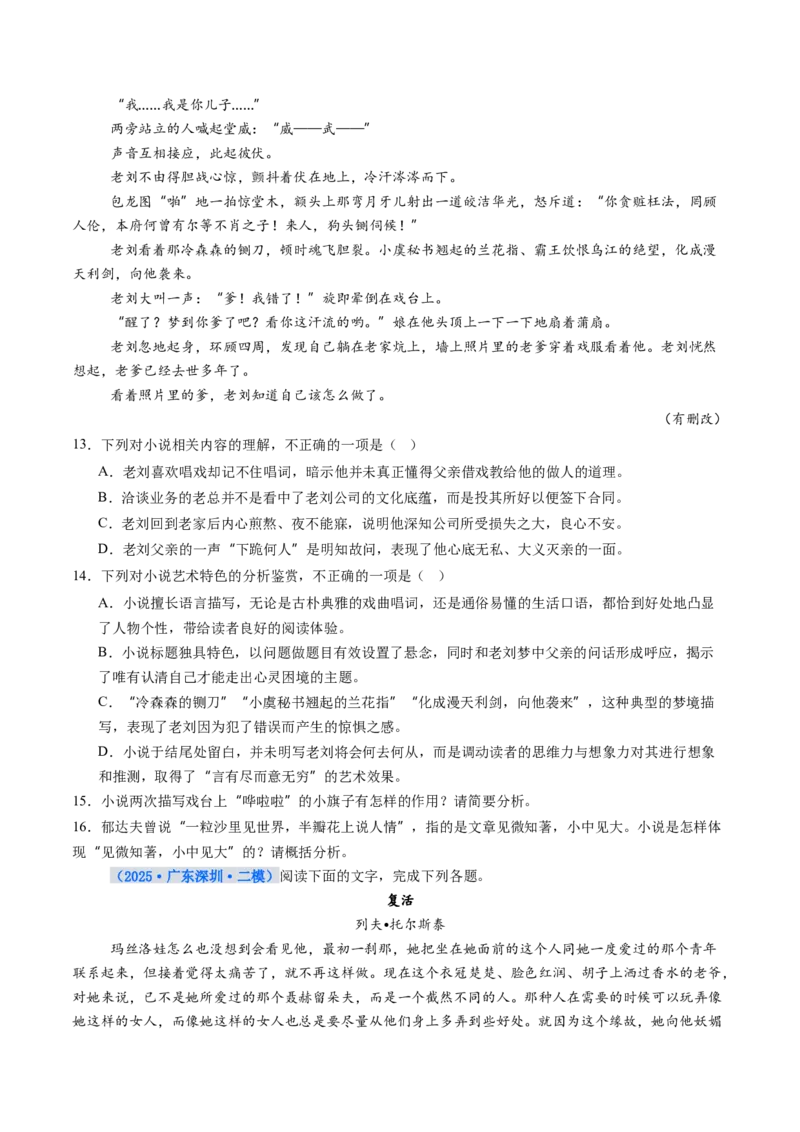 《专项训练02文学类文本小说阅读（全国通用）（学生版）_高考一二三轮复习_语文_2026年-语文一轮复习_2026年高考语文一轮复习考点精讲精练（新高考通用）-G58_2026版》第9页预览