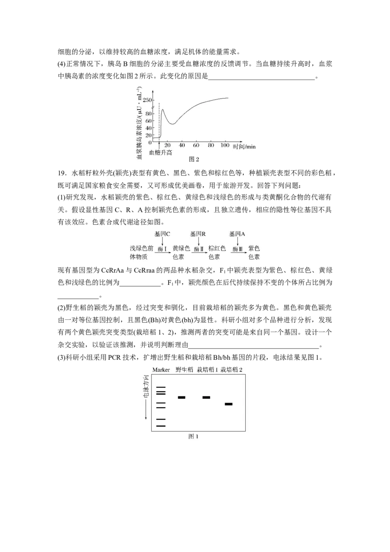 《生物2025年高考真题——安徽卷（精校版）(1)_2026版高中《二三轮复习+冲刺复习》_2021-2025生物高考题_2025生物高考题_学生》第7页预览