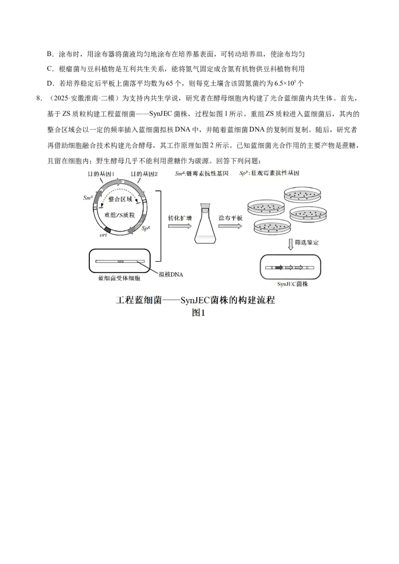 《专题08生物技术与工程（学生版）_高考一二三轮复习_生物_2026年-生物高考专项复习_2025年高考生物二模试题分类汇编（安徽专用）》第3页预览