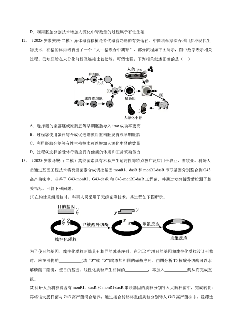 《专题08生物技术与工程（学生版）_高考一二三轮复习_生物_2026年-生物高考专项复习_2025年高考生物二模试题分类汇编（安徽专用）》第9页预览