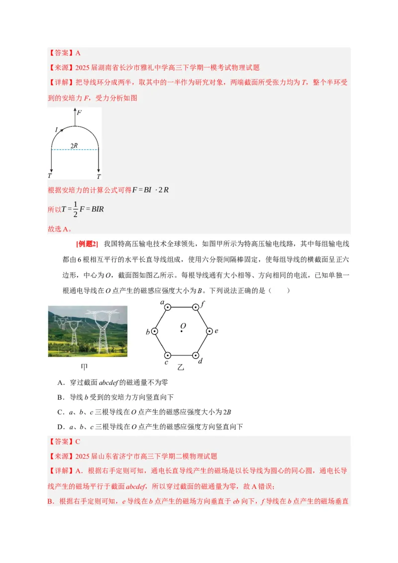 《第21讲磁场的描述磁场对电流的作用（教师版）_高考一二三轮复习_物理_2026年_2026年高考物理一轮复习考点精讲精练（全国通用）-G346(1)_资料_2026版》第4页预览