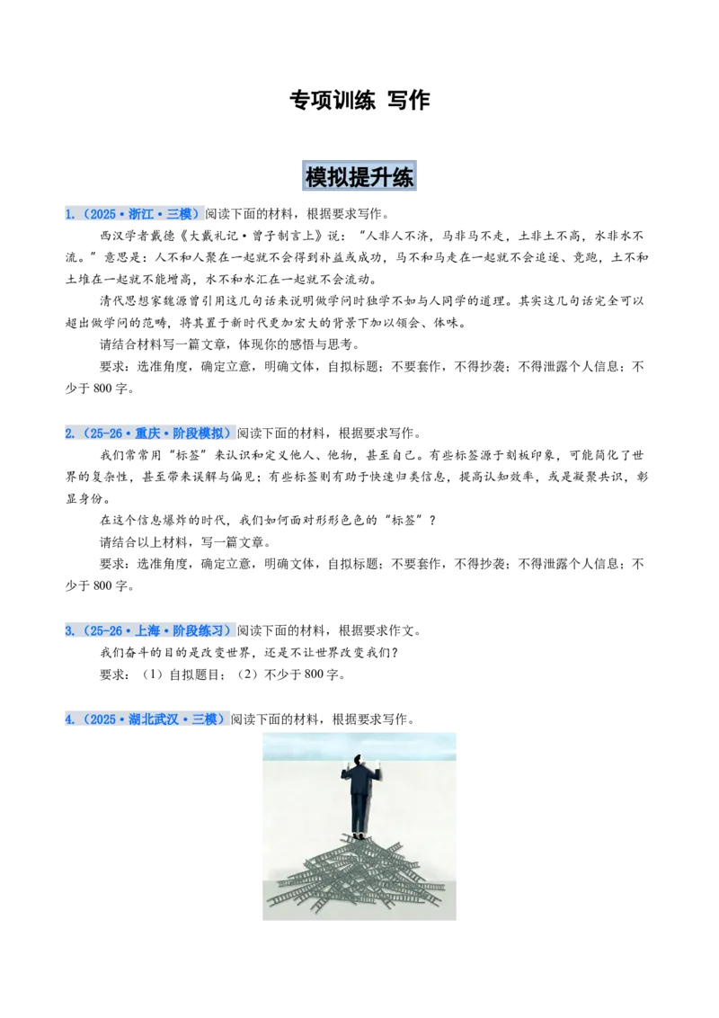 《专项训练08写作（全国通用）（学生版）_高考一二三轮复习_语文_2026年-语文一轮复习_2026年高考语文一轮复习考点精讲精练（新高考通用）-G58_2026版》第1页预览