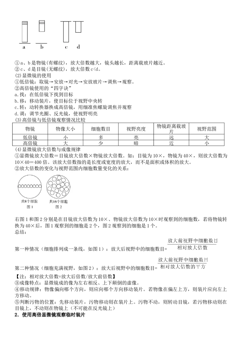 《2027届高三生物一轮复习知识清单4：分子与细胞基础_高考一二三轮复习_生物_2027年高考生物一轮_42027届高考生物一轮复习知识清单填空》第3页预览