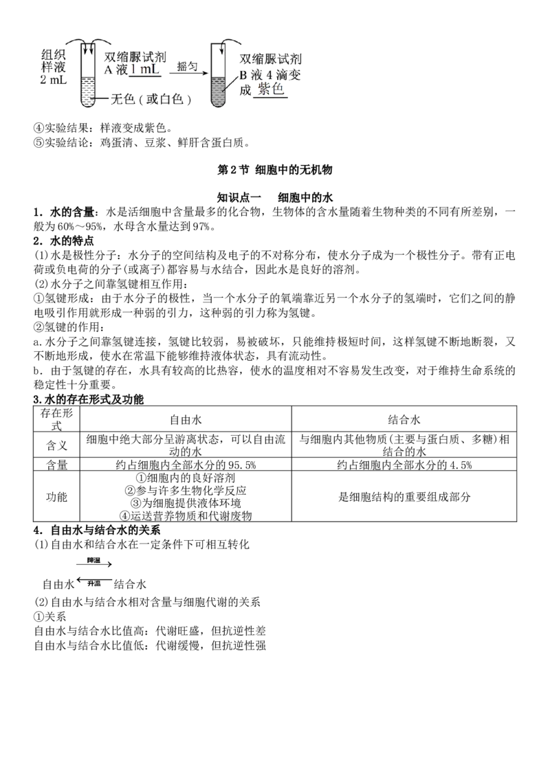 《2027届高三生物一轮复习知识清单4：分子与细胞基础_高考一二三轮复习_生物_2027年高考生物一轮_42027届高考生物一轮复习知识清单填空》第7页预览