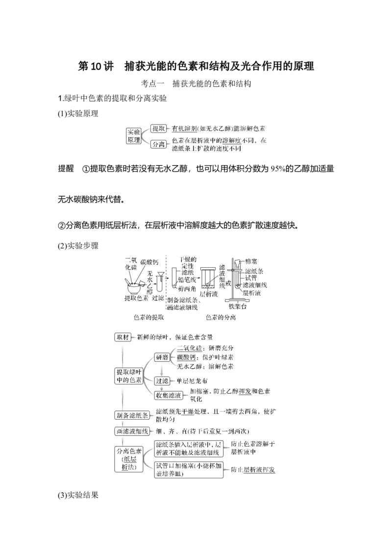 《第10讲捕获光能的色素和结构及光合作用的原理_高考一二三轮复习_生物_2027年高考生物一轮_12027年高考生物一轮复习讲义（考点详解）》第1页预览
