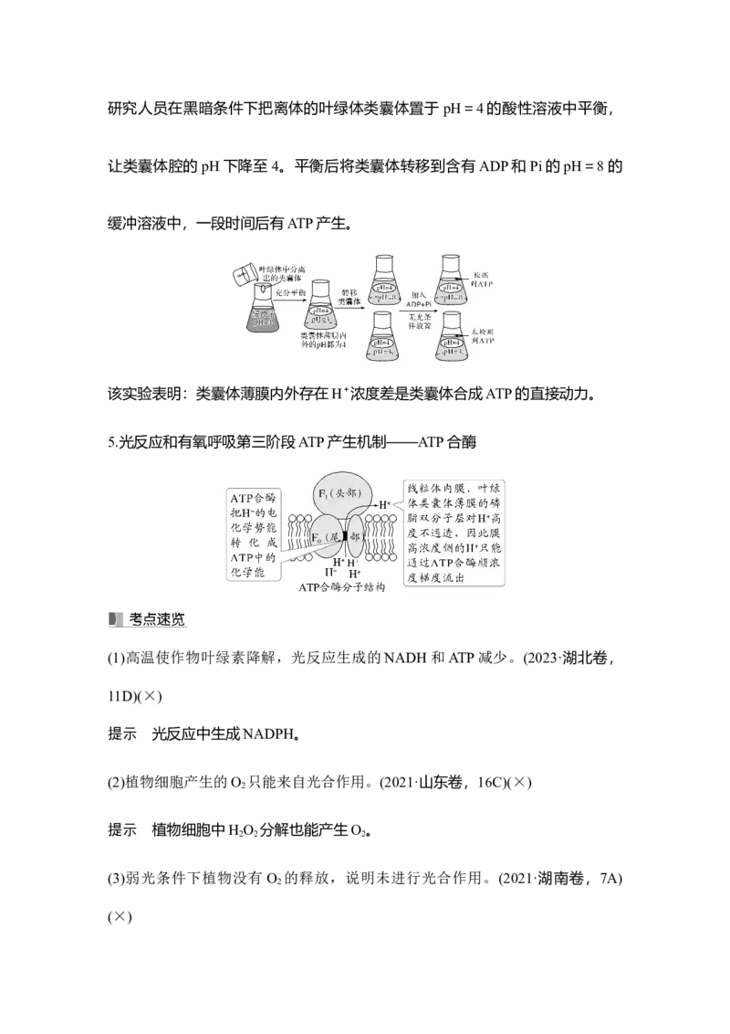 《第10讲捕获光能的色素和结构及光合作用的原理_高考一二三轮复习_生物_2027年高考生物一轮_12027年高考生物一轮复习讲义（考点详解）》第10页预览