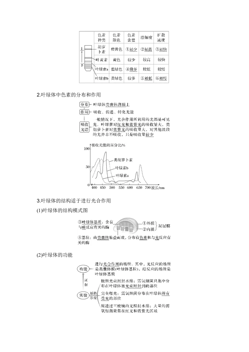 《第10讲捕获光能的色素和结构及光合作用的原理_高考一二三轮复习_生物_2027年高考生物一轮_12027年高考生物一轮复习讲义（考点详解）》第2页预览