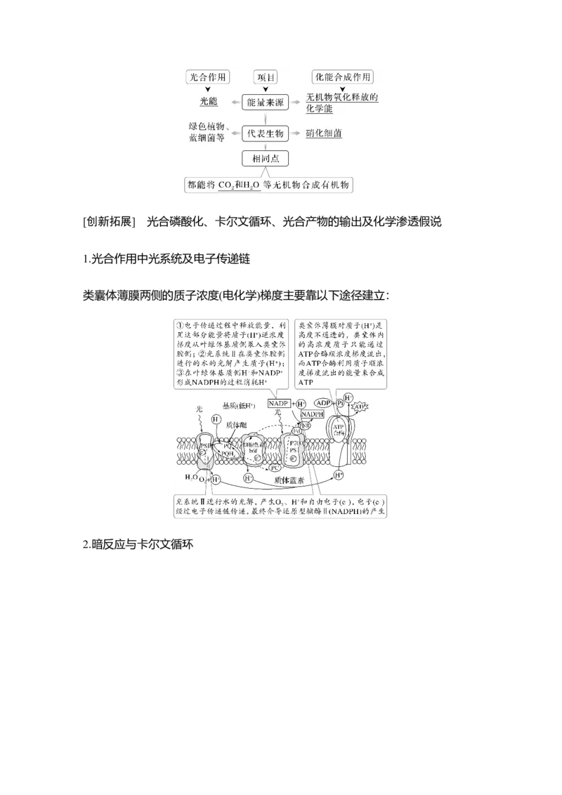 《第10讲捕获光能的色素和结构及光合作用的原理_高考一二三轮复习_生物_2027年高考生物一轮_12027年高考生物一轮复习讲义（考点详解）》第8页预览