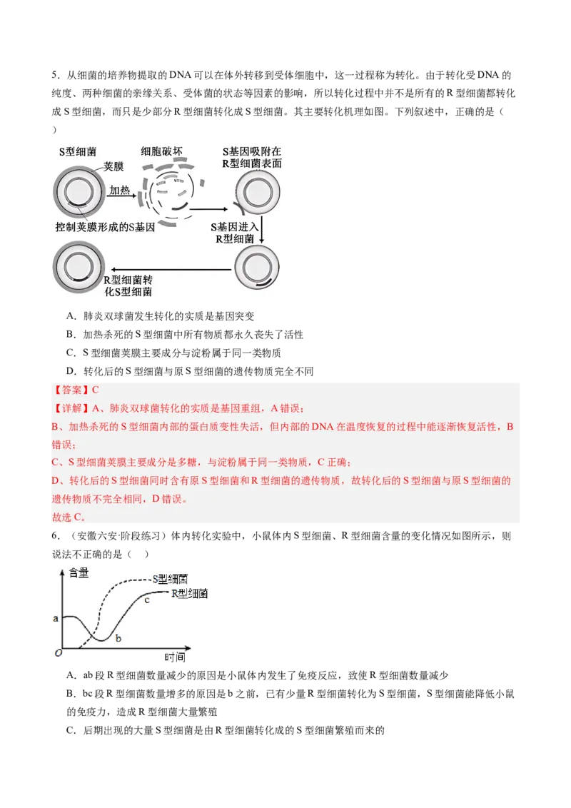 《第20讲DNA是主要的遗传物质（专项训练）（安徽专用）（教师版）_高考一二三轮复习_生物_2026年高考生物一轮_2026年高考生物一轮课件+讲义+练习（安徽专用）-G326》第4页预览