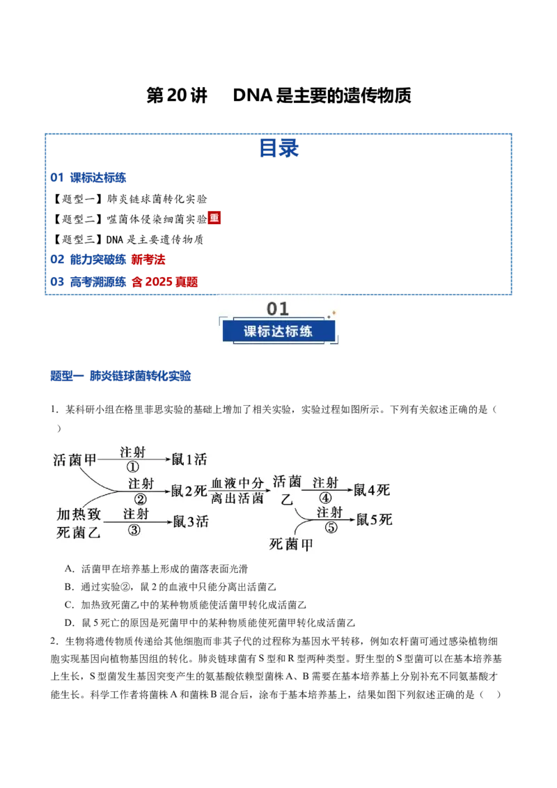 《第20讲DNA是主要的遗传物质（专项训练）（安徽专用）（学生版）_高考一二三轮复习_生物_2026年高考生物一轮_2026年高考生物一轮课件+讲义+练习（安徽专用）-G326》第1页预览