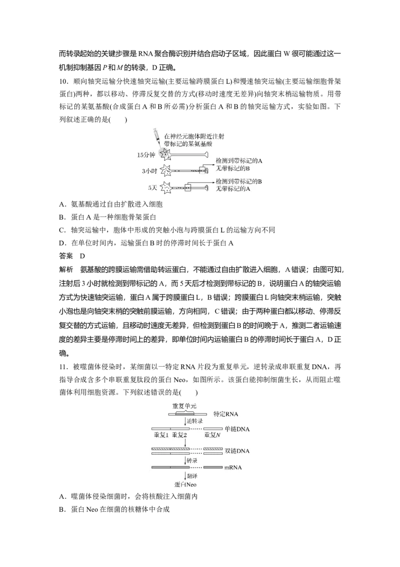《生物2025年高考真题——湖南卷（精校版）_2026版高中《二三轮复习+冲刺复习》_2021-2025生物高考题_2025生物高考题_教师》第4页预览