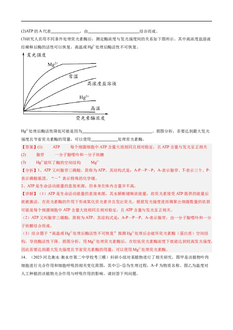 《专题02细胞的能量供应与利用（分层练）（解析版）_初高中资料库_高中资料库（转存避免链接过期失效）_高中生物》第10页预览