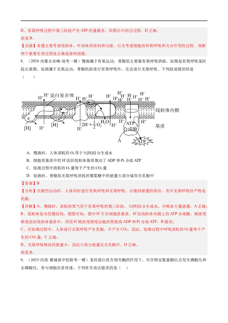 《专题02细胞的能量供应与利用（分层练）（解析版）_初高中资料库_高中资料库（转存避免链接过期失效）_高中生物》第6页预览