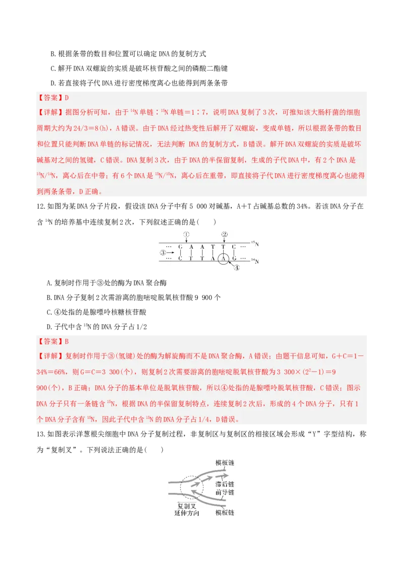 《第20讲DNA分子的结构、复制与基因的本质（湖南专用）（教师版）_高考一二三轮复习_生物_2026年高考生物一轮_2026年高考生物一轮课件+讲义+练习（湖南专用）-G331》第6页预览