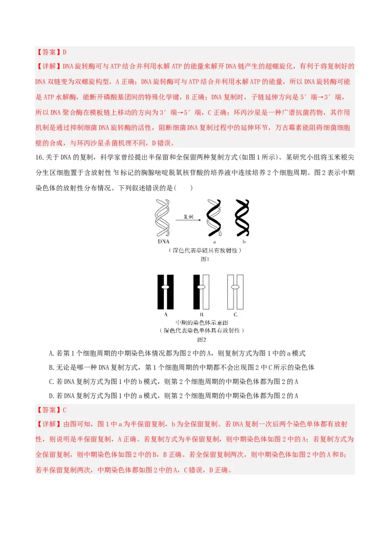 《第20讲DNA分子的结构、复制与基因的本质（湖南专用）（教师版）_高考一二三轮复习_生物_2026年高考生物一轮_2026年高考生物一轮课件+讲义+练习（湖南专用）-G331》第8页预览