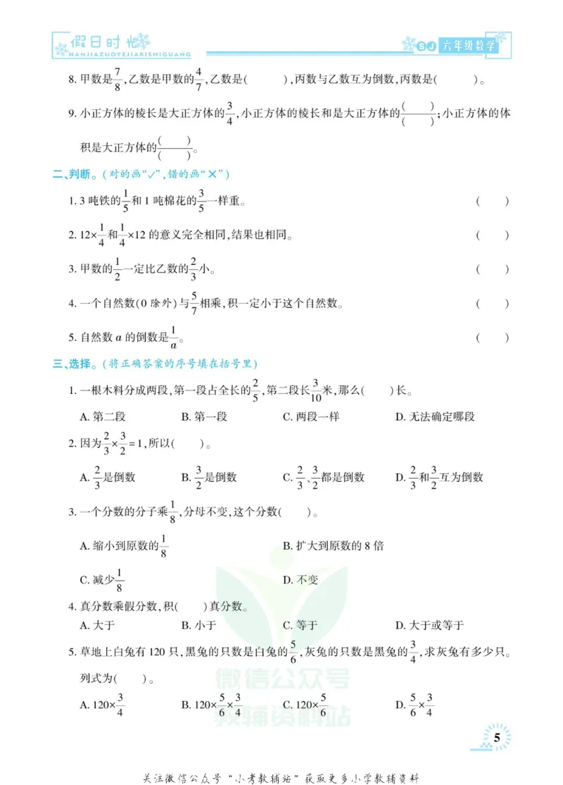《快乐寒假七彩的假期生活六年级数学苏教版_07.小学语文、英语、数学专区_小学寒假教辅汇总_1~6年级快乐寒假·七彩的假期生活》第8页预览