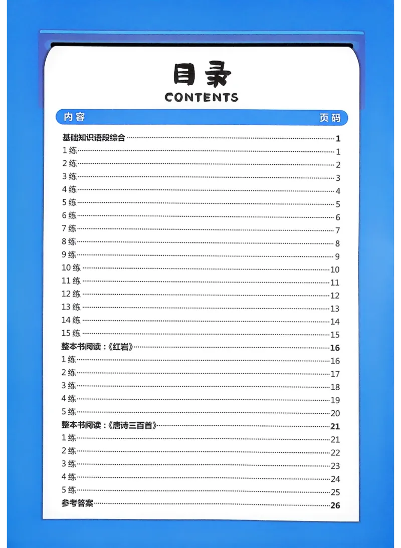 《新编专练_2026秋初中教辅合集_2027《一飞冲天•中考专项精品试题分类》（中考）（7科全）_2027《一飞冲天•中考专项精品试题分类》（中考）（语文）》第2页预览