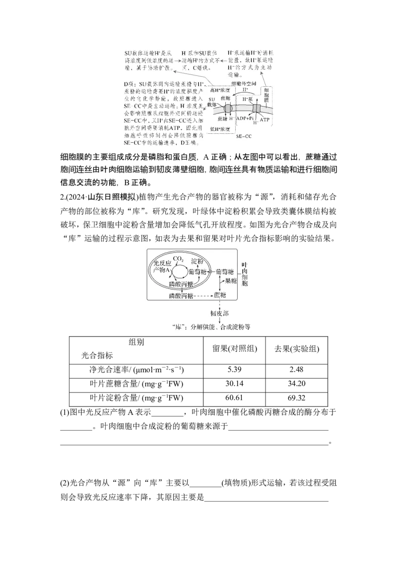 《盲点2光合产物蔗糖在植物体内的转运途径(1)_2026版高中《二三轮复习+冲刺复习》_另附1套Word版题库_第二篇　考前硬核增分策略_第二部分挖掘教材盲点、易错点练透高考关键题型》第2页预览
