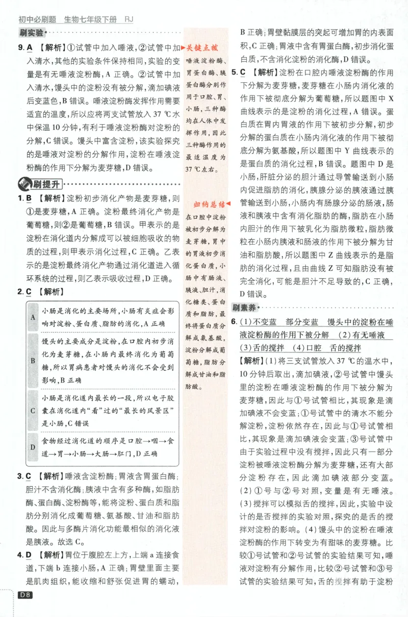 《2024版《初中必刷题》生物7下（RJ）-批注式详答与详析_初中全科知识点总结和试卷_赠送习题试卷_初中3年学习辅助资料_2、2025初中必刷题合集_初中必刷题23+24+25上册_25初中必刷_初中必刷题》第10页预览