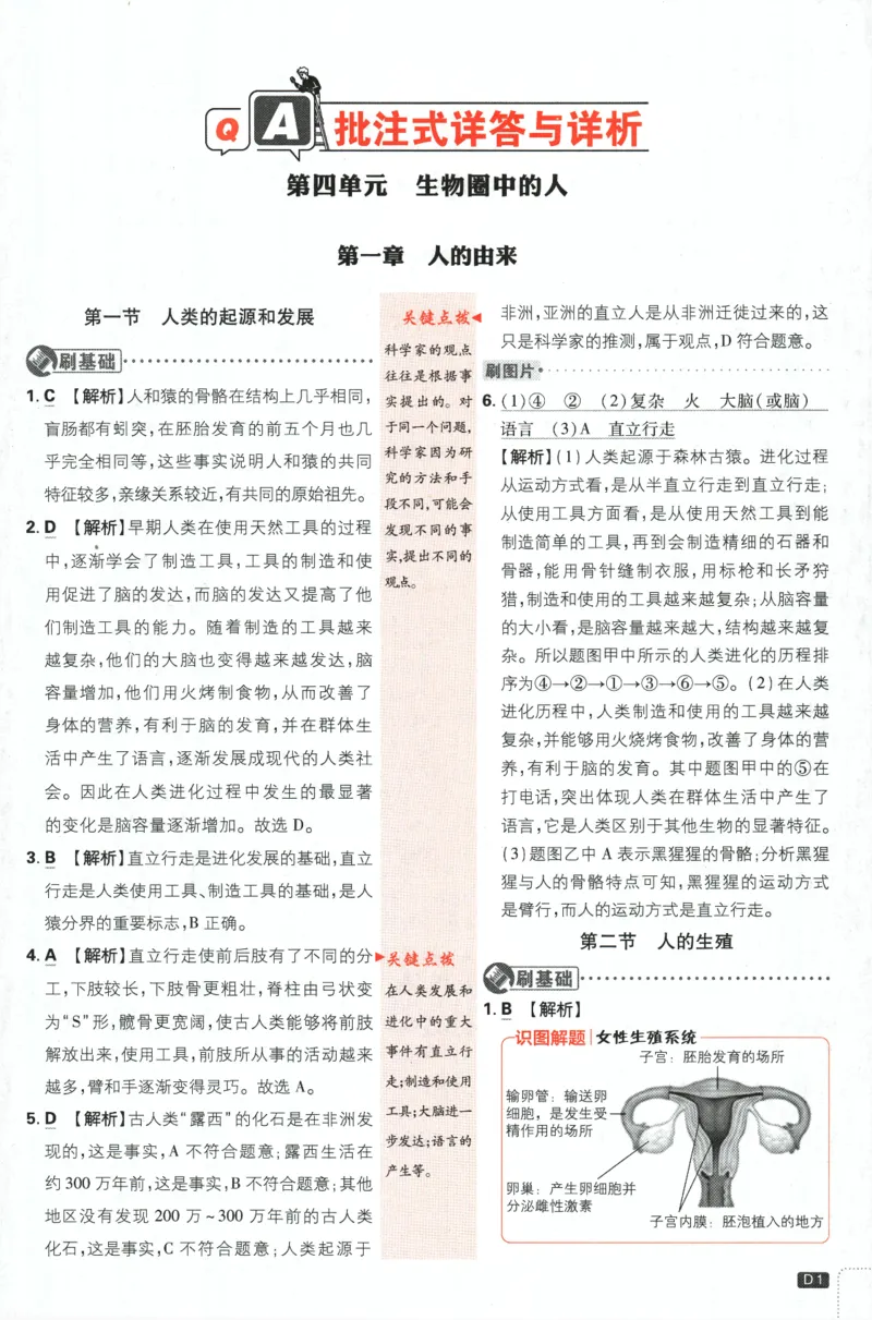 《2024版《初中必刷题》生物7下（RJ）-批注式详答与详析_初中全科知识点总结和试卷_赠送习题试卷_初中3年学习辅助资料_2、2025初中必刷题合集_初中必刷题23+24+25上册_25初中必刷_初中必刷题》第3页预览