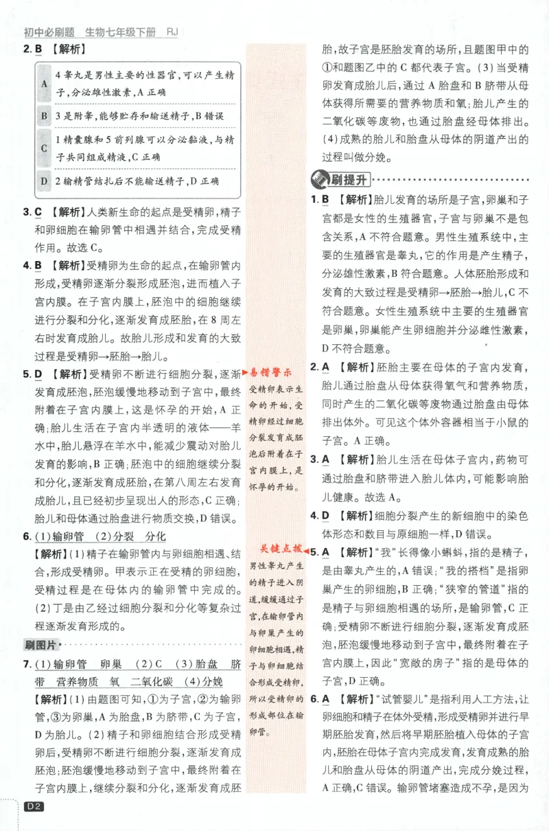 《2024版《初中必刷题》生物7下（RJ）-批注式详答与详析_初中全科知识点总结和试卷_赠送习题试卷_初中3年学习辅助资料_2、2025初中必刷题合集_初中必刷题23+24+25上册_25初中必刷_初中必刷题》第4页预览