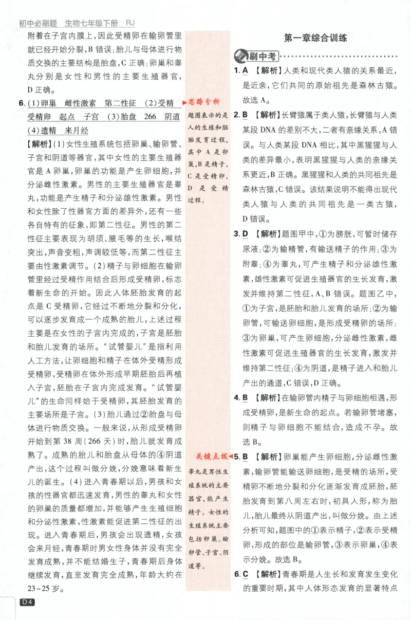 《2024版《初中必刷题》生物7下（RJ）-批注式详答与详析_初中全科知识点总结和试卷_赠送习题试卷_初中3年学习辅助资料_2、2025初中必刷题合集_初中必刷题23+24+25上册_25初中必刷_初中必刷题》第6页预览