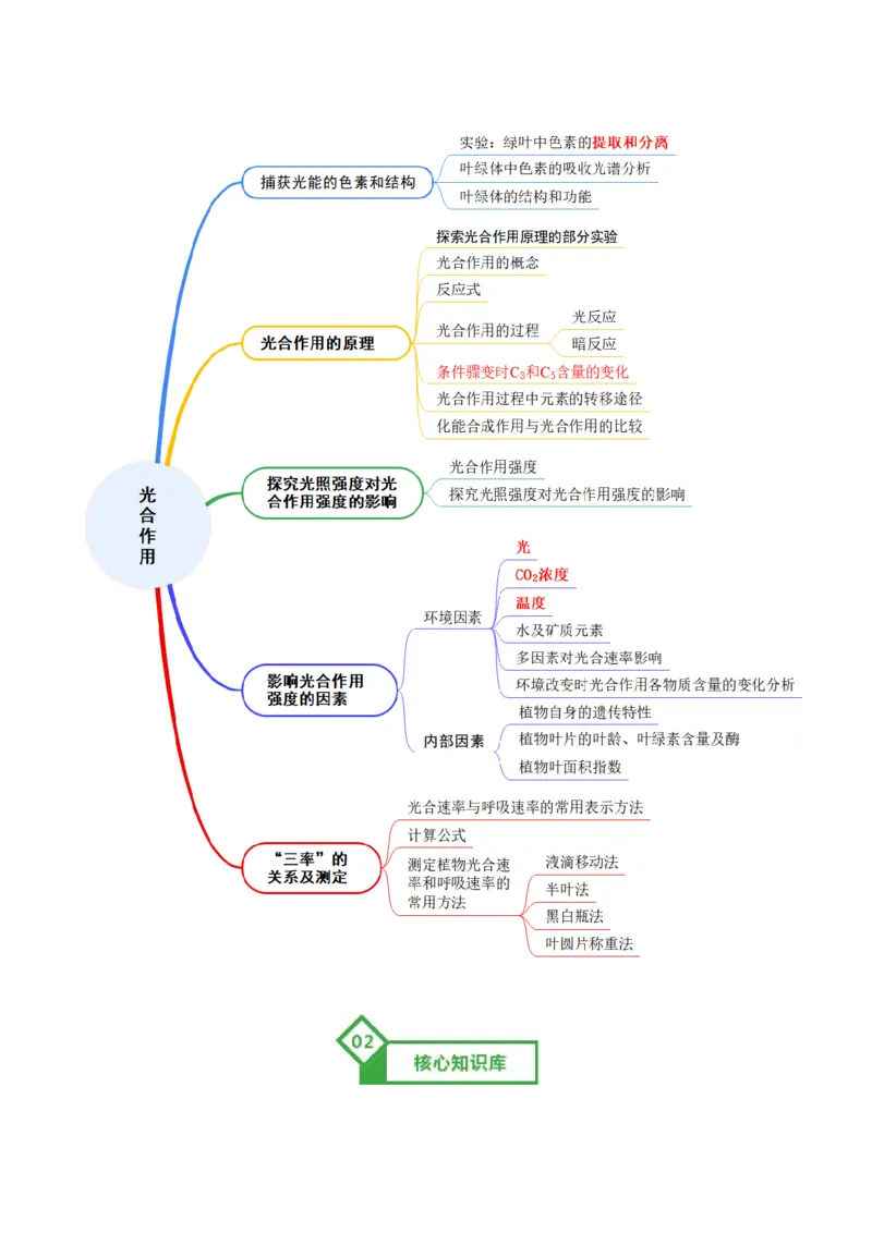 《第10讲光合作用（知识清单）（全国通用）（学生版）_高考一二三轮复习_生物_2026年高考生物一轮_2026年高考生物一轮复习讲义+练习+课件（新教材新高考）-G55_2026版》第2页预览