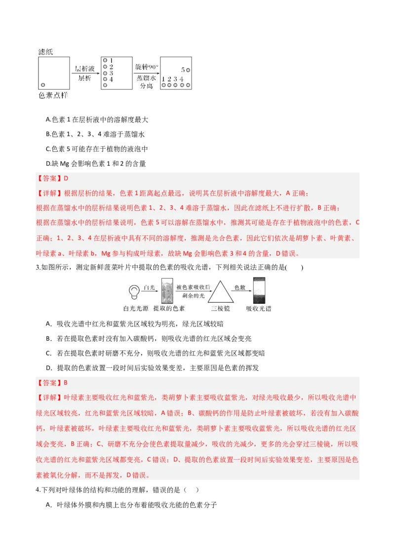 《第10讲光合作用（专项训练）（湖南专用）（教师版）_高考一二三轮复习_生物_2026年高考生物一轮_2026年高考生物一轮课件+讲义+练习（湖南专用）-G331》第2页预览
