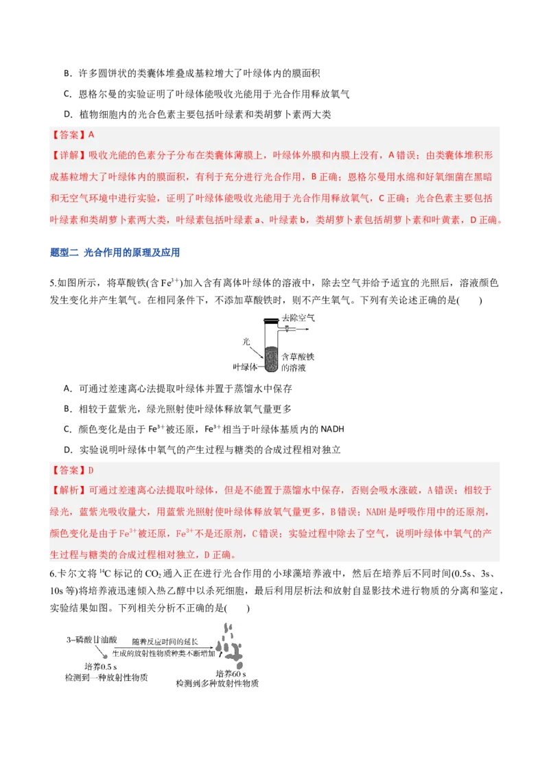 《第10讲光合作用（专项训练）（湖南专用）（教师版）_高考一二三轮复习_生物_2026年高考生物一轮_2026年高考生物一轮课件+讲义+练习（湖南专用）-G331》第3页预览