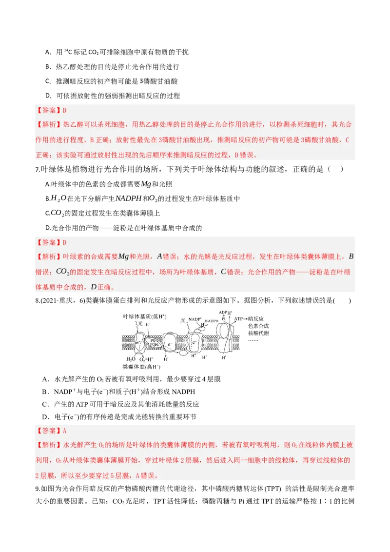 《第10讲光合作用（专项训练）（湖南专用）（教师版）_高考一二三轮复习_生物_2026年高考生物一轮_2026年高考生物一轮课件+讲义+练习（湖南专用）-G331》第4页预览