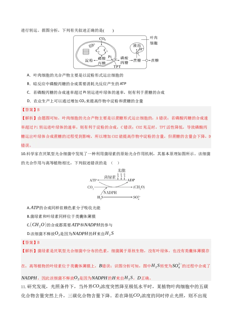 《第10讲光合作用（专项训练）（湖南专用）（教师版）_高考一二三轮复习_生物_2026年高考生物一轮_2026年高考生物一轮课件+讲义+练习（湖南专用）-G331》第5页预览