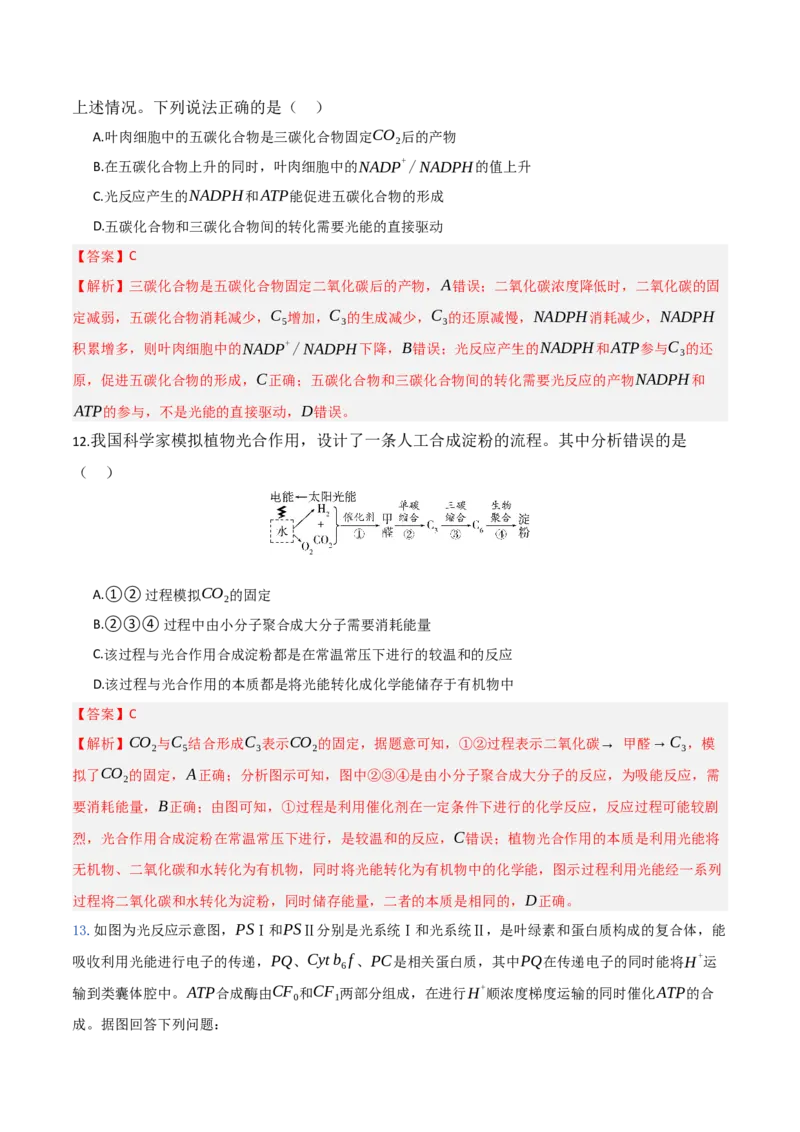 《第10讲光合作用（专项训练）（湖南专用）（教师版）_高考一二三轮复习_生物_2026年高考生物一轮_2026年高考生物一轮课件+讲义+练习（湖南专用）-G331》第6页预览