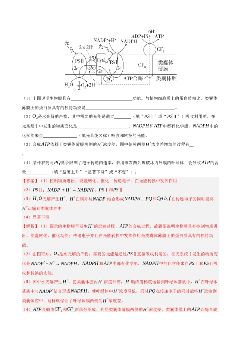《第10讲光合作用（专项训练）（湖南专用）（教师版）_高考一二三轮复习_生物_2026年高考生物一轮_2026年高考生物一轮课件+讲义+练习（湖南专用）-G331》第7页预览