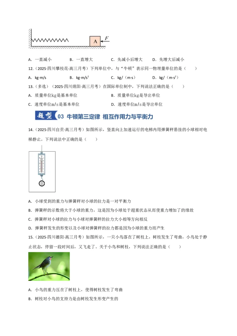 《第09讲牛顿运动定律的理解及基本运用（专项训练）（四川专用）（学生版）_高考一二三轮复习_物理_2026年_2026年高考物理一轮课件+讲义+练习（四川专用）-G335(1)》第5页预览