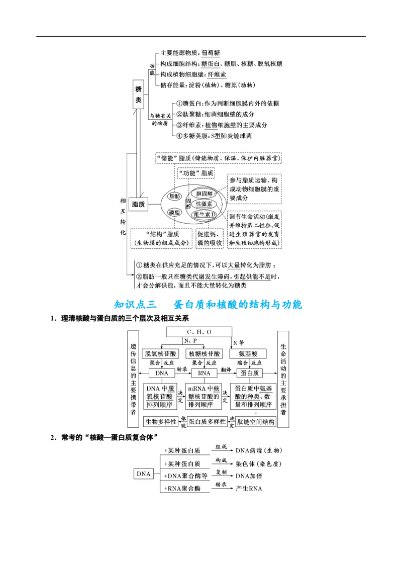 《专题01细胞的分子组成、结构和物质运输（讲义）（原卷版）_初高中资料库_高中资料库（转存避免链接过期失效）_高中生物》第7页预览