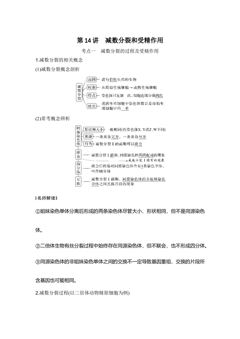 《第14讲减数分裂和受精作用_高考一二三轮复习_生物_2027年高考生物一轮_12027年高考生物一轮复习讲义（考点详解）》第1页预览