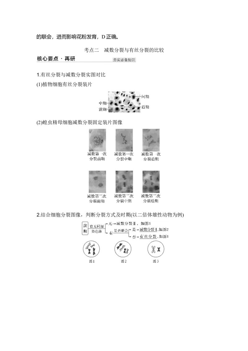 《第14讲减数分裂和受精作用_高考一二三轮复习_生物_2027年高考生物一轮_12027年高考生物一轮复习讲义（考点详解）》第9页预览