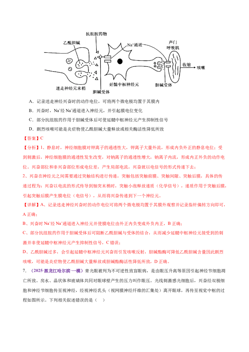 《专题09内环境稳态和神经调节（教师版）_高考一二三轮复习_生物_2026年-生物高考专项复习_2025年高考生物一模试题分类汇编（黑吉辽蒙专用）》第10页预览