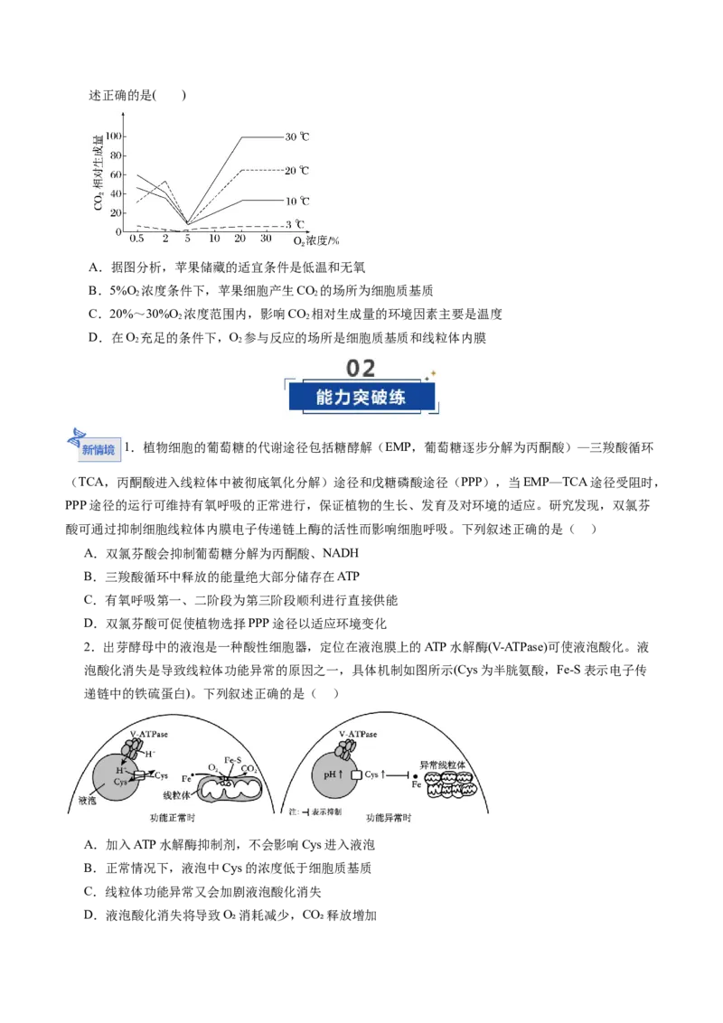 《第10讲细胞呼吸（专项训练）（福建专用）（学生版）_高考一二三轮复习_生物_2026年高考生物一轮_2026年高考生物一轮课件+讲义+练习（福建专用）-G328》第6页预览
