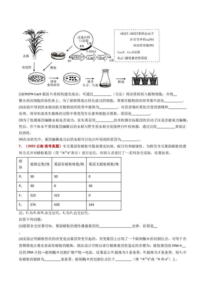 《专题22基因工程（全国通用）（学生版）_高考一二三轮复习_生物_2026年-生物高考专项复习_五年（2021-2025）高考生物真题分类汇编（全国通用）-C438》第4页预览