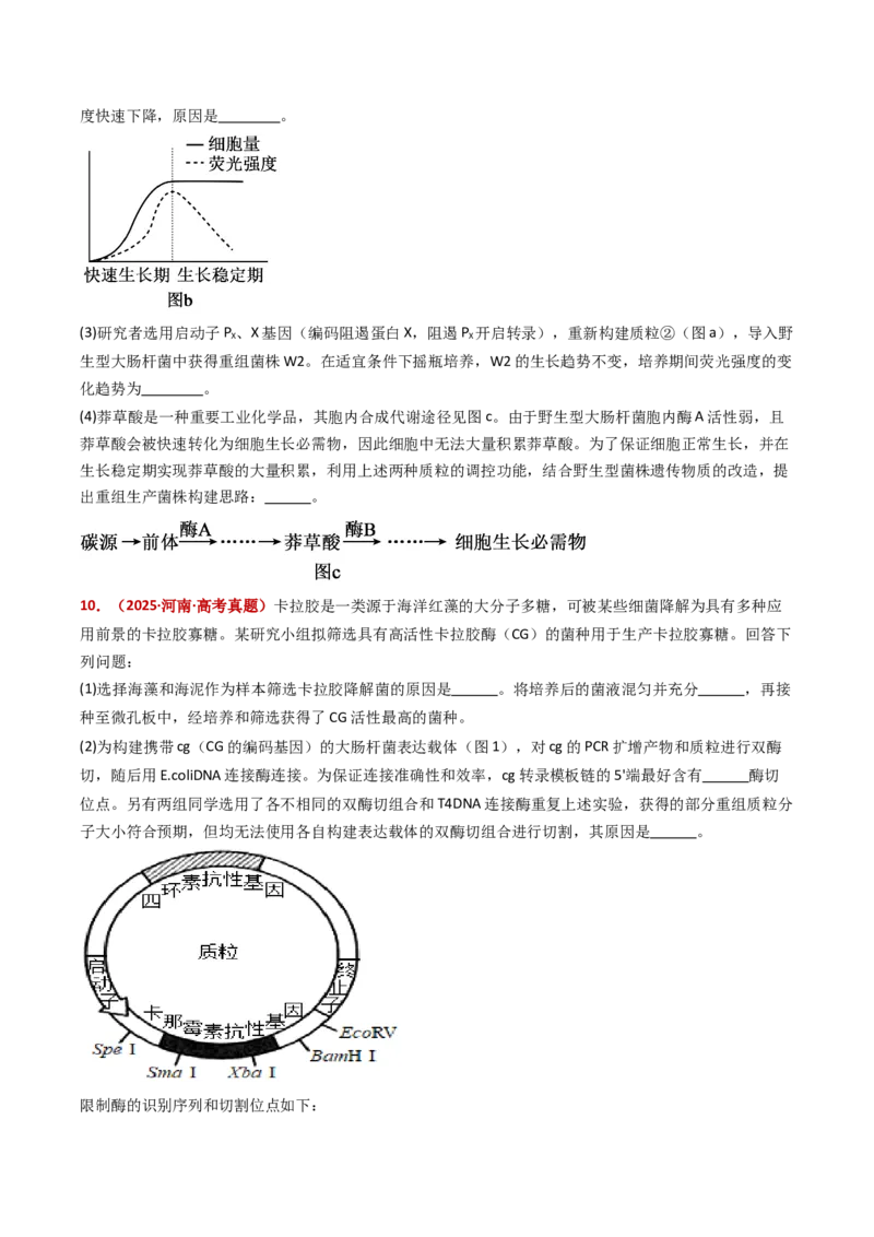 《专题22基因工程（全国通用）（学生版）_高考一二三轮复习_生物_2026年-生物高考专项复习_五年（2021-2025）高考生物真题分类汇编（全国通用）-C438》第6页预览