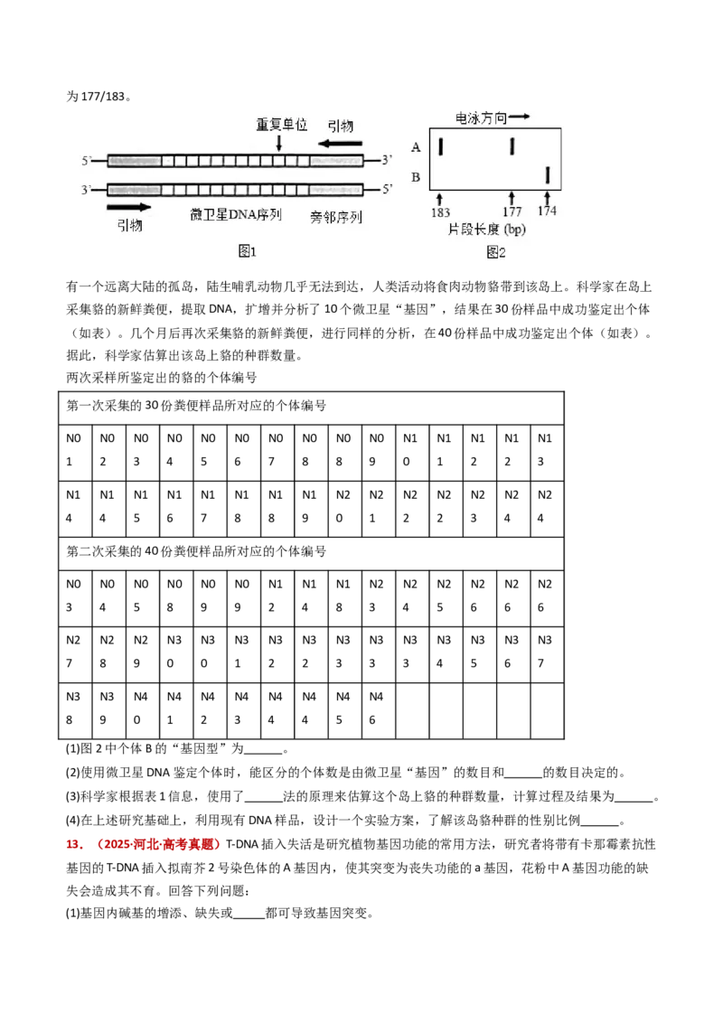 《专题22基因工程（全国通用）（学生版）_高考一二三轮复习_生物_2026年-生物高考专项复习_五年（2021-2025）高考生物真题分类汇编（全国通用）-C438》第9页预览