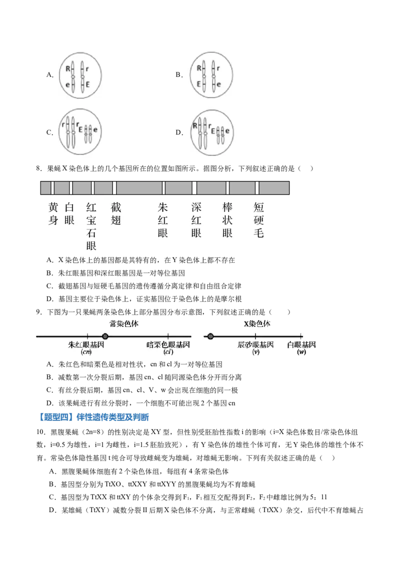 《第16讲伴性遗传和人类遗传病（专项训练）（黑吉辽蒙专用）（学生版）_高考一二三轮复习_生物_2026年高考生物一轮_2026年高考生物一轮课件+讲义+练习（黑吉辽蒙专用）-G330》第3页预览