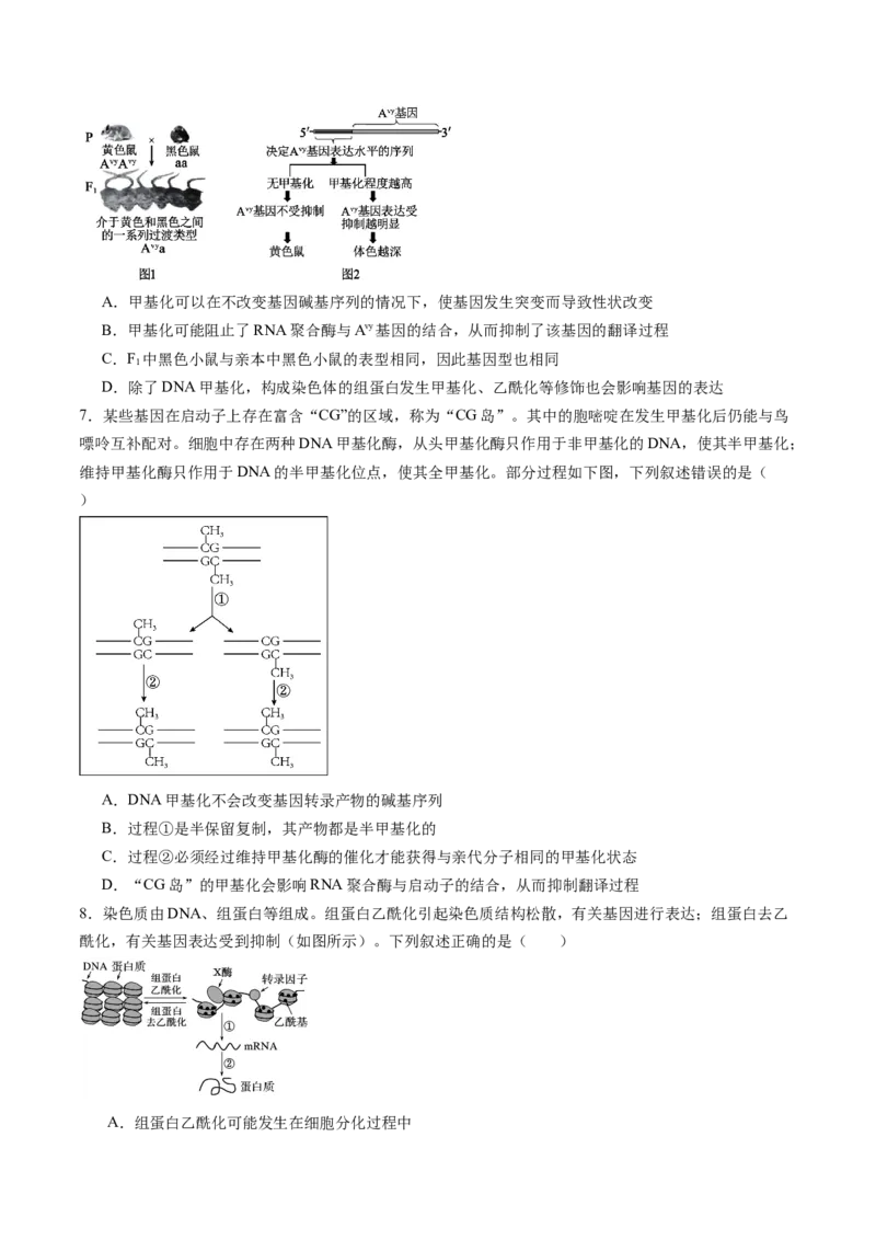 《第23讲基因与性状的关系（专项训练）（福建专用）（学生版）_高考一二三轮复习_生物_2026年高考生物一轮_2026年高考生物一轮课件+讲义+练习（福建专用）-G328》第3页预览