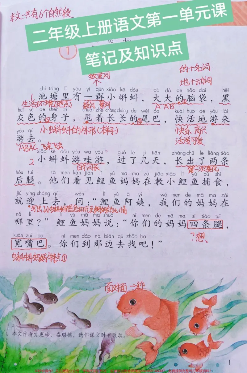 《二年级上册语文第一单元手写课堂笔记和知识点#教育#家长收藏孩子受益#小学语文资料分享#知识点总结》第1页预览